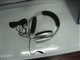 ɭ������ HD457ͼƬ-35k