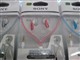 ���� MDR-NE2ͼƬ-105k