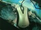 ΢�� ���ʹ�ѧ��3000(Comfort Optical Mouse 3000)ͼƬ-54k