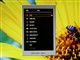 HP W2207ͼƬ-296k