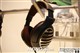 ɭ������ HD515ͼƬ-41k