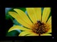 LG L222WTͼƬ-275k