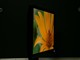 LG L222WTͼƬ-284k