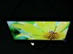 LG L222WTͼƬ-286k