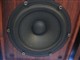 ����� V23se2ͼƬ-99k