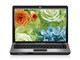 HP Compaq 6520s(KF102PA)ͼƬ-82k