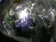 Ultimate Ears ue 11 proͼƬ-176k