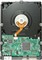 ���� 320G/7200ת/16M/����(Deskstar T7K500)/��װͼƬ-26k