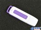 ��ʿ�� DataTraveler����(1GB)ͼƬ-285k