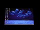 ��˶ A8H54E-DRͼƬ-204k