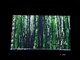 ���� Latitude D630(T7250 2.0G/1G/120G/����)ͼƬ-227k