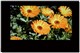 LG 37LG30R-TAͼƬ-423k