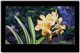 LG 37LG31RC-TAͼƬ-382k
