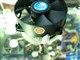AVC ��ɪ��ͼƬ-116k
