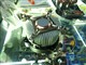 AVC ��ɪ��ͼƬ-177k