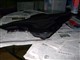 ���� ����5218(R9-NBC-APMS/APSS)ͼƬ-178k