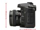 ���� EOS 40D(�׻�)ͼƬ-83k