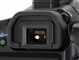 ���� EOS 40D(�׻�)ͼƬ-82k