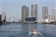 ���� EOS 450D(��ͷ�׻�18-55)ͼƬ-1013k