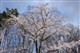 ���� EOS 450D(��ͷ�׻�18-55)ͼƬ-1830k