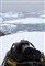 �῵ D300ͼƬ-228k