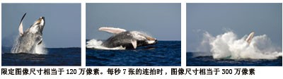 ���ְ�˹ SP550UZ
