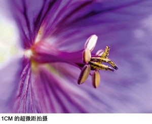 ���ְ�˹ SP550UZ