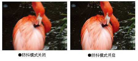 ���ְ�˹ FE210