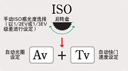 ����K10D