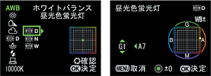 宾得K10D