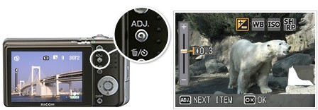 ���� R6