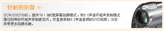 ��������� ���� DCR-DVD708E