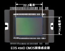 ���� 450D