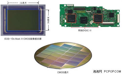 ����EOS 1Ds Mark III