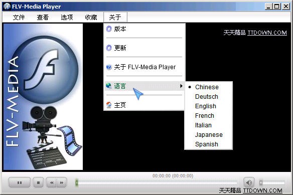 flv media player