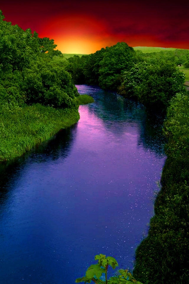 10045345.jpg
