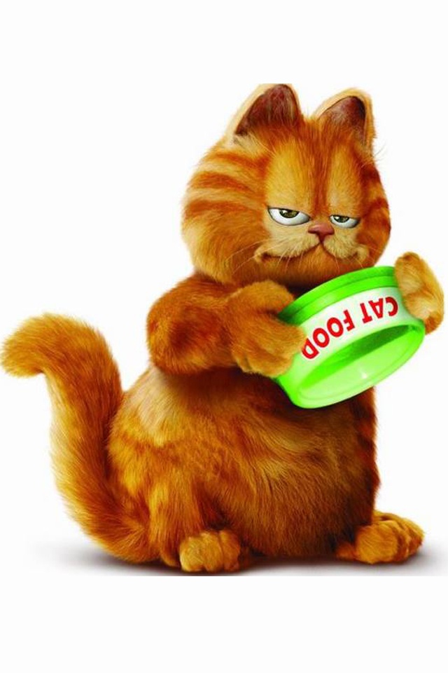 加菲猫动画片大全 10115439.jpg