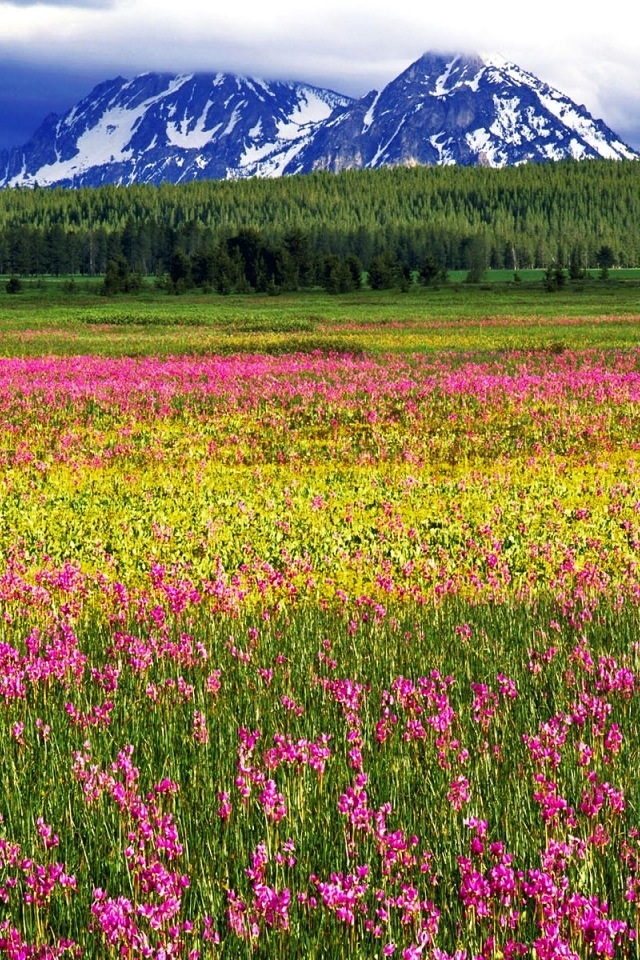 360手机锁屏壁纸