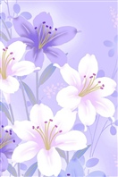 iPhone4高清壁纸57362