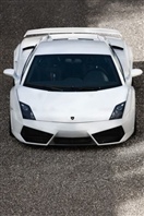 兰博基尼Gallardo LP560