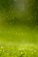 特效-雨110171762