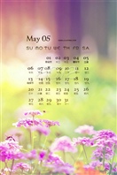 五月日历20120508壁纸00310178977
