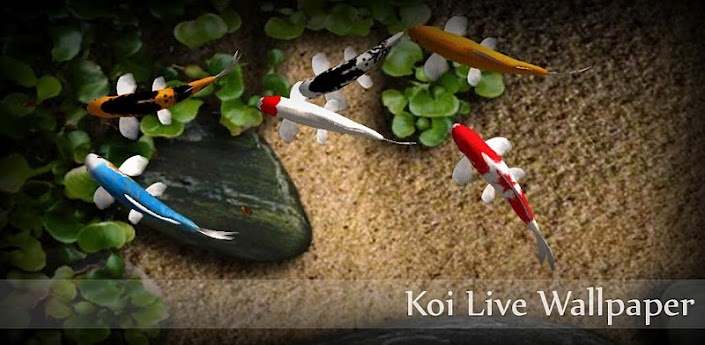 锦鲤动态壁纸,Koi Free Live Wallpaper,安卓软件,android