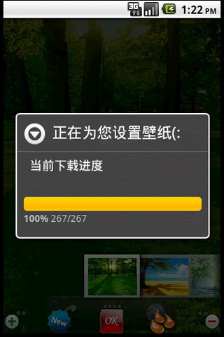 1300690033929.jpg