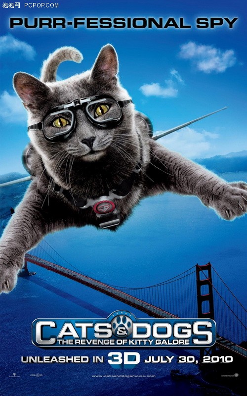 家庭英文原名:cats & dogs: the revenge of kitty galore电影名称:猫