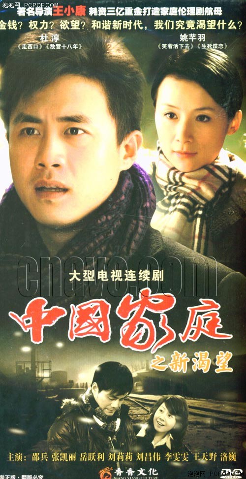 媳妇儿受追捧 2010年十大热门电视剧