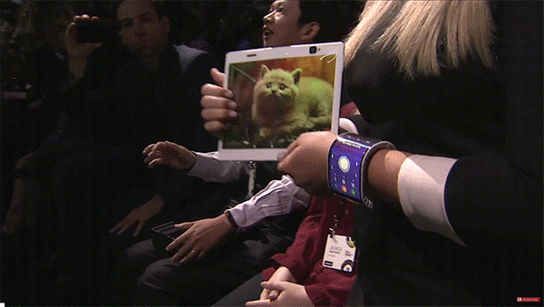 600_339gif 动态图 动图