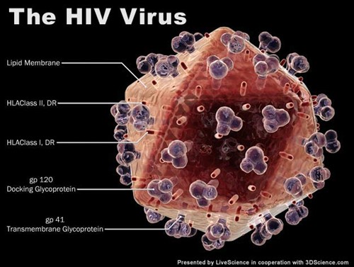 艾滋病毒图片