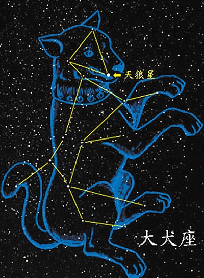 大犬座的天狼星是全天最亮的恒星,视星等为-1.45等