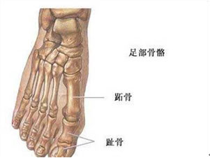 爱好花样滑冰的你如何做到不受伤?